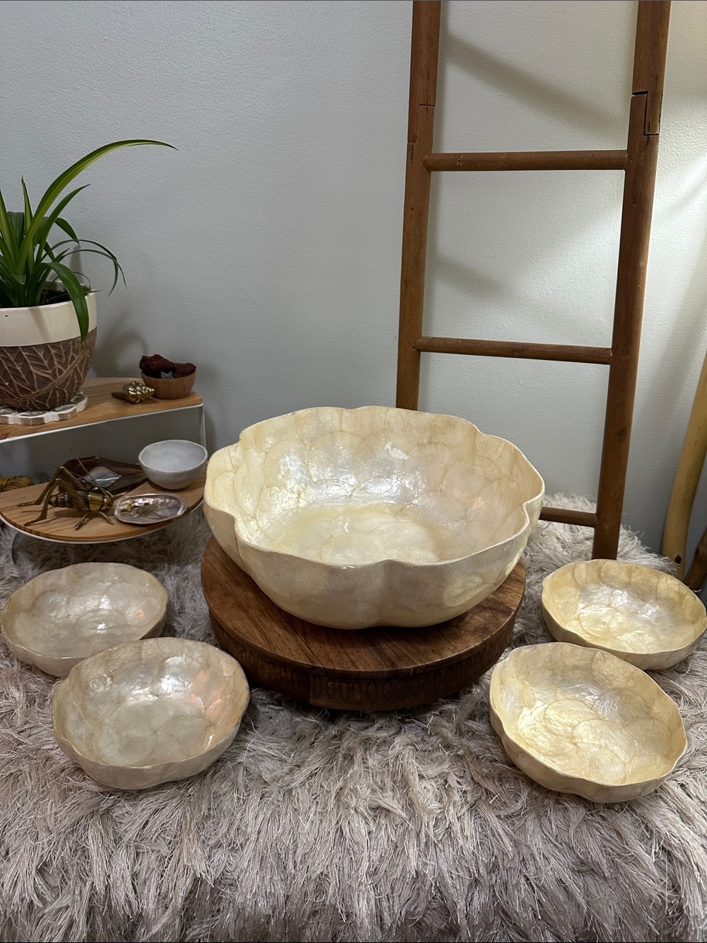 Vintage GUMP'S Department Store
Capiz Shell Decorative Bowls 1-Large 4-Small‎
